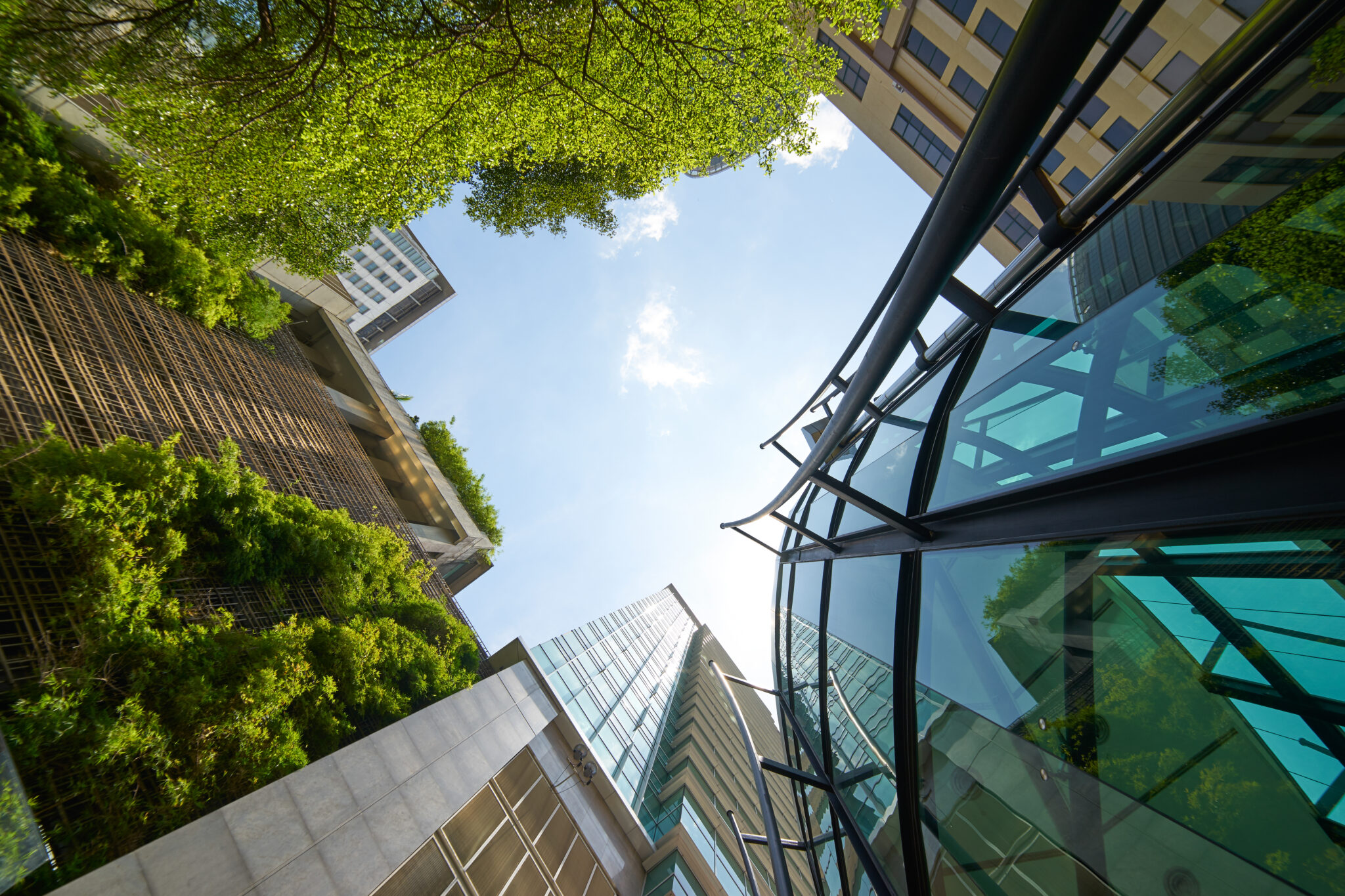 Low,Angle,Shot,Of,Modern,Glass,Buildings,And,Green,With